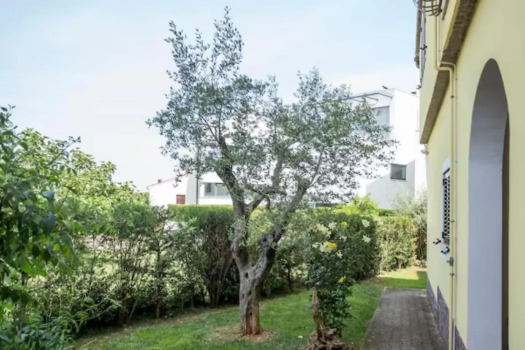 Zonta Ξενοδοχείο Ρόβινι 0*,  Κροατία